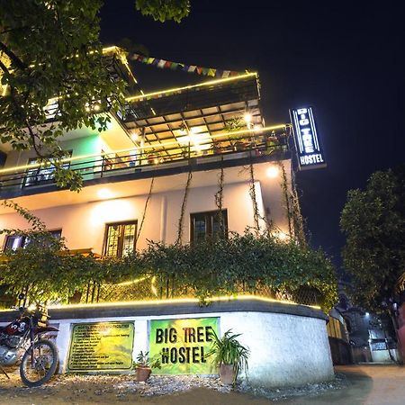 Big Tree Hostel Kathmandu Ngoại thất bức ảnh