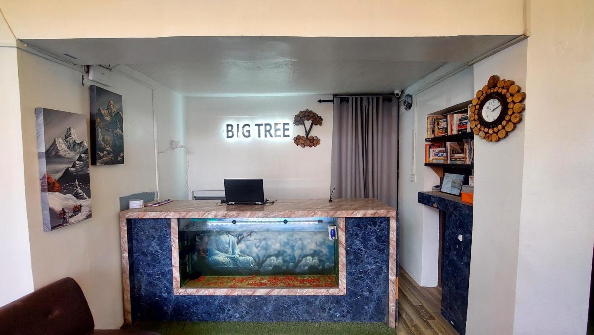 Big Tree Hostel Kathmandu Ngoại thất bức ảnh