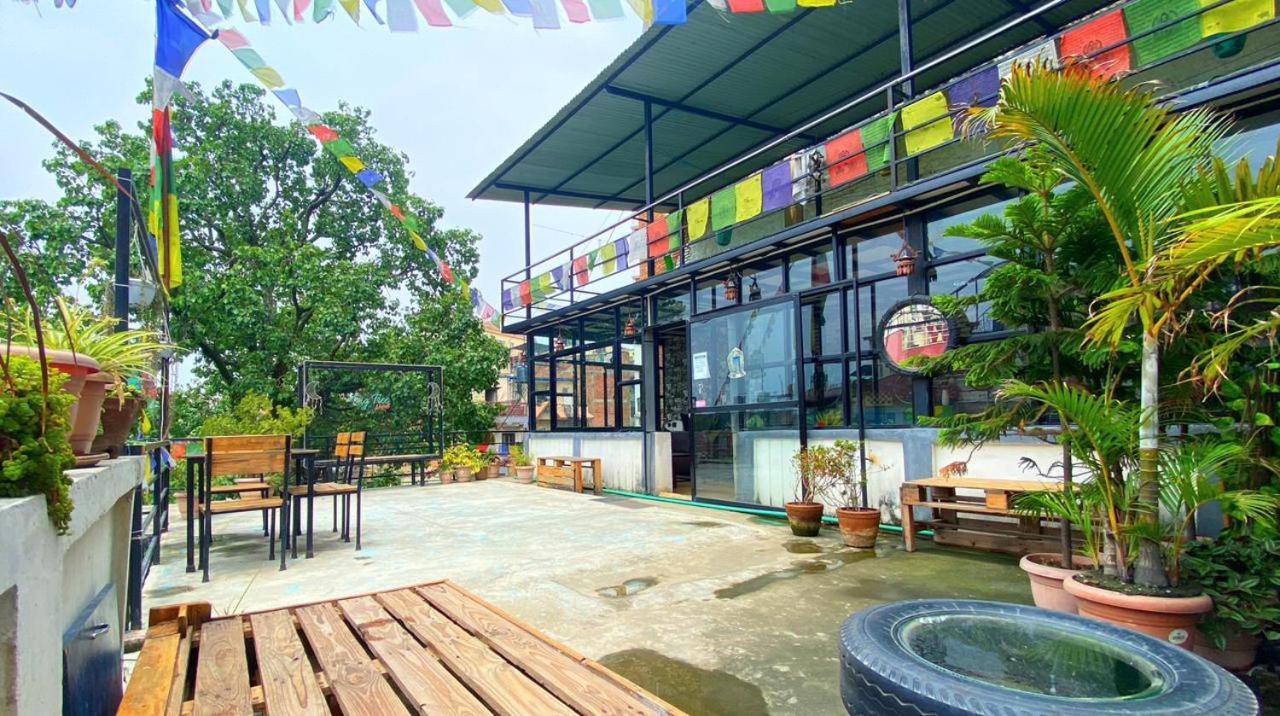 Big Tree Hostel Kathmandu Ngoại thất bức ảnh