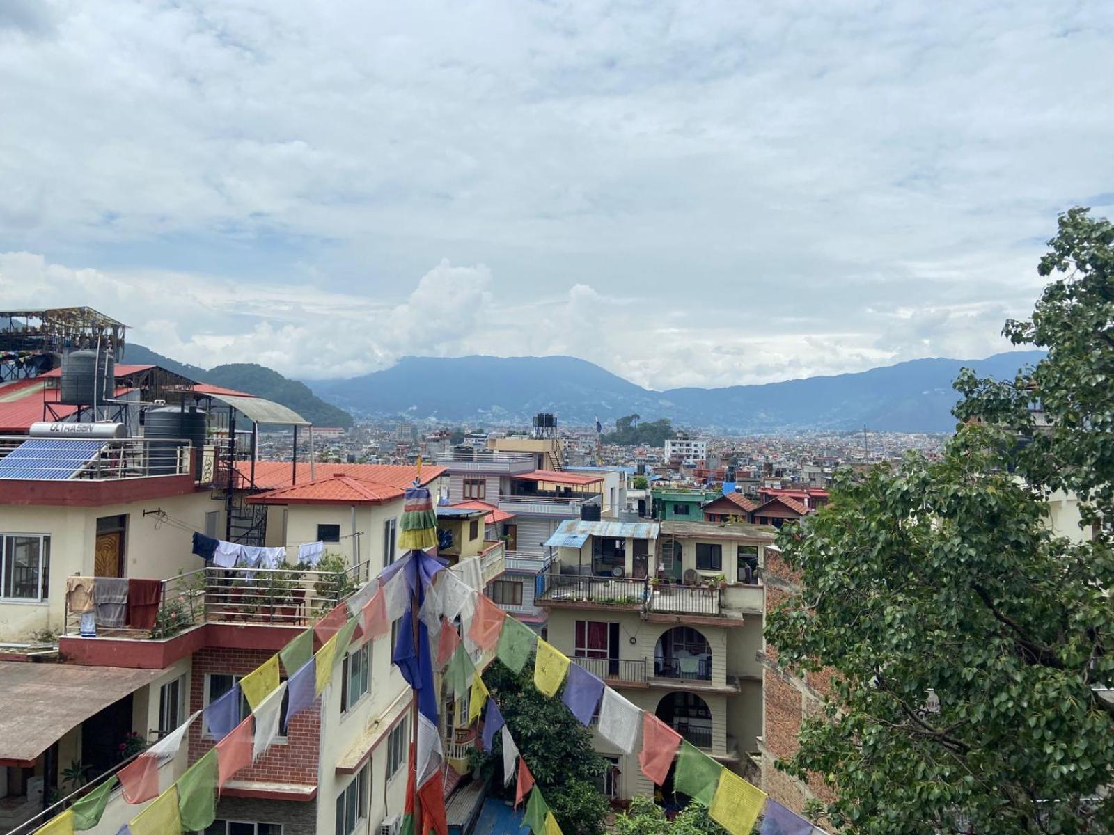 Big Tree Hostel Kathmandu Ngoại thất bức ảnh