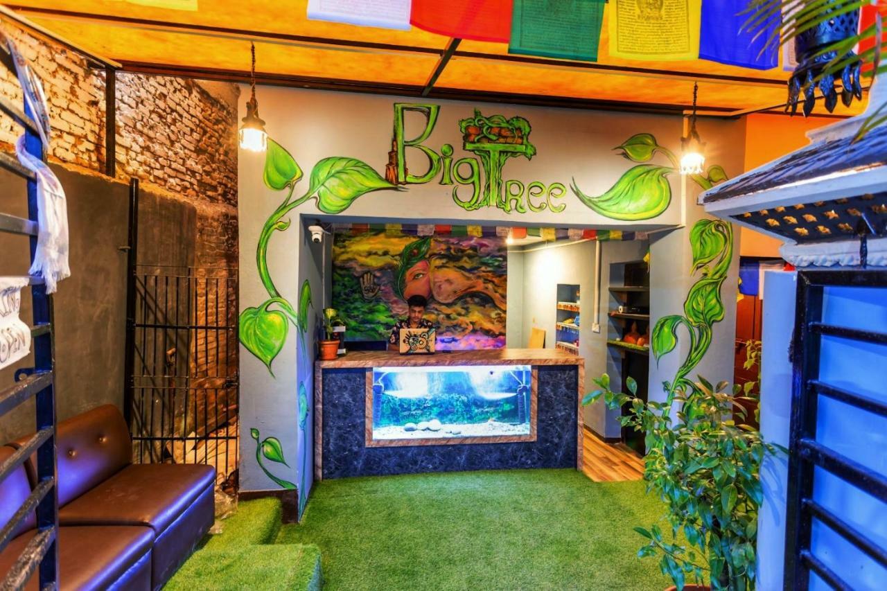 Big Tree Hostel Kathmandu Ngoại thất bức ảnh