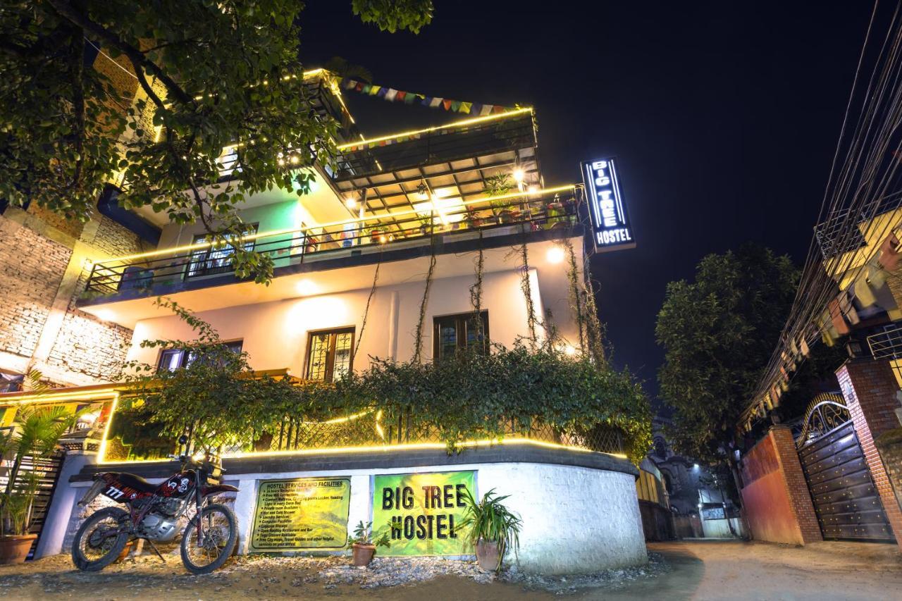 Big Tree Hostel Kathmandu Ngoại thất bức ảnh